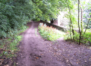 Derbyshire Portway (North Lane), Chevin, Belper, Derbyshire